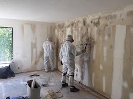 Best Attic Mold Removal  in North Tustin, CA